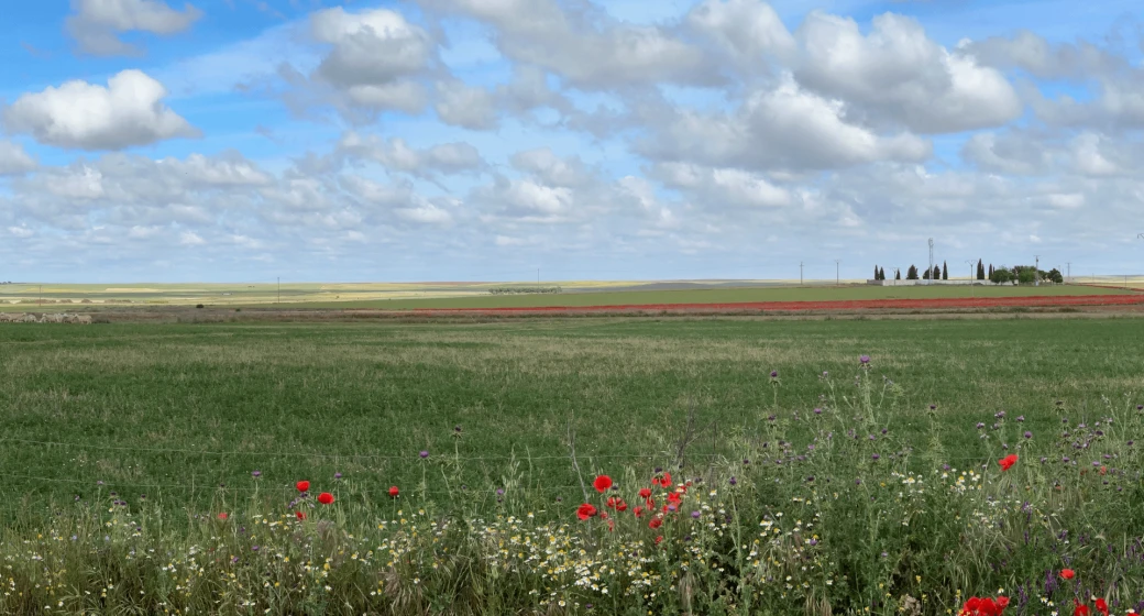 Ubicada en pleno corazón de la tierra de campos